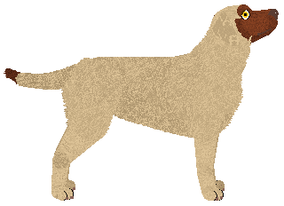 MORPHEE's Mefistofeles — “Faust”