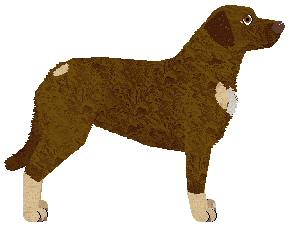 MORPHEE's Lilith — “Sansa”