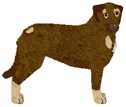 Profile image of MORPHEE's Lilith