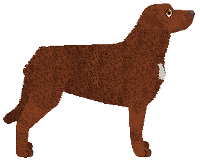 MORPHEE's Sachmet — “Sarah”