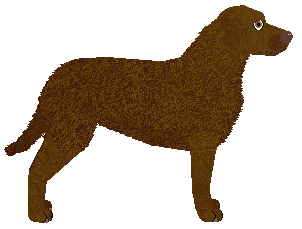 MORPHEE's Chemosh — “Aziel”