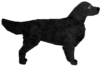 MORPHEE's Hekate — “Mischka”