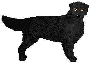 Profile image of MORPHEE's Hekate