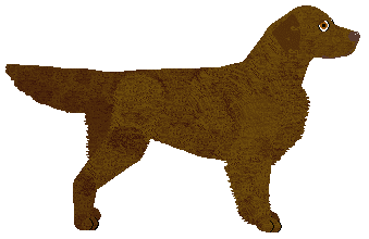 MORPHEE's Yaotzin — “Wadim”