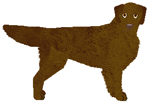 Profile image of MORPHEE's Yaotzin