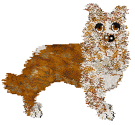 Profile image of Come Bye's Chosen Founder