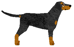 Pins'n'Needles' PINSHER OBSESSION — “Pin”