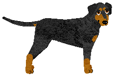 Profile image of Pins'n'Needles' PINSHER OBSESSION