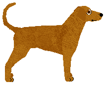 Pins'n'Needles' DIG UP HER BONES — “Diggy”