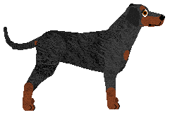 Pins'n'Needles' I KISSED A GIRL — “Kiss”