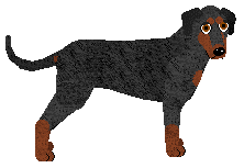 Profile image of Pins'n'Needles' I KISSED A GIRL