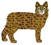 Pins'n'Needles' HOLD ON — “Hold”