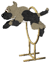 Mockingbird's Frosted Quavers For Two — “Serenade”