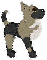 Mockingbird's Frosted Quavers For Two — “Serenade”