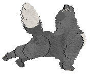 Profile image of PRKC's Fierce Diva