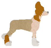 Dragosani MANIFEST A CEILING — “Ceiling”