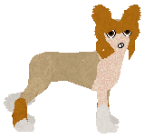 Profile image of Dragosani MANIFEST A CEILING