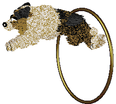 Crystal Rose's Flowers For Come Bye of Wonder Light — “Flora”