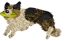 Crystal Rose's Flowers For Come Bye of Wonder Light — “Flora”