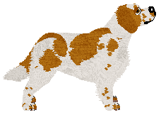 Converse BREAK YOUR BED — “Bed”