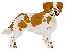 Profile image of Converse BREAK YOUR BED