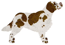 Converse I'M TOO MESSY — “Messy”