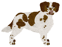 Profile image of Converse I'M TOO MESSY