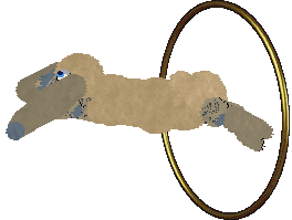 HUNCWOCI Ostatni z nas — “Ellie”