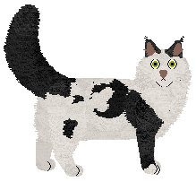 SECHE Czarny charakter — “Mario”