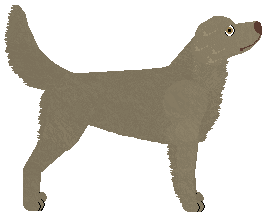 Wodnik Szuwarek z Szuwarów — “Wodnik”