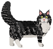 Aftermath Dash Of Magic — “Magia”