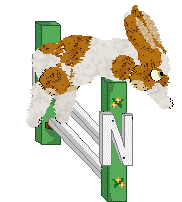 HUNCWOCI Historia Magii — “Mróżka”