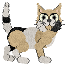 Profile image of Vanilla's Vitamin Eye