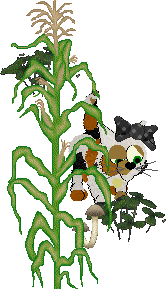 SeaGlass's Pixel Memory — “Smol Sally”