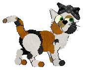 Profile image of SeaGlass's Pixel Memory