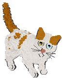 Profile image of Frogbowl Shine Bright