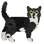 Frogbowl Here She Comes — “Storm”