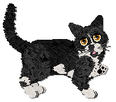 Profile image of Frogbowl Here She Comes