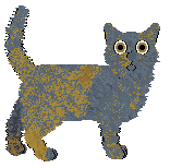 Frogbowl Pitter Patter — “Rain”