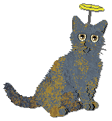 Profile image of Frogbowl Pitter Patter