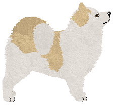 Wolf Hollow's Storm Coming — “Storm”