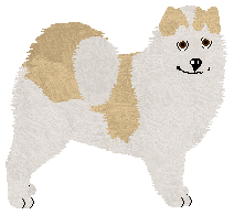 Profile image of Wolf Hollow's Storm Coming