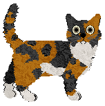 Nightwish Star of the Sea — “Marielle”