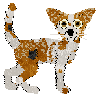 Dumka That's Funky — “Funky”