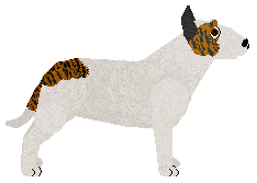 Hard Rock Immobulus — “Mobi”