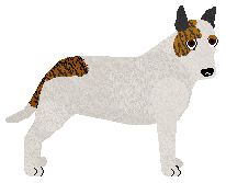 Profile image of Hard Rock Immobulus