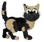 Profile image of Chau's Solemn Promise at Wild Road