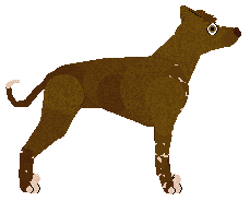 Coppertone Hot Chocolate — “Choco”