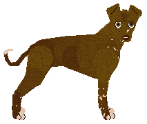 Profile image of Coppertone Hot Chocolate