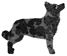 Minden Crazy Equals Genius — “Genius”